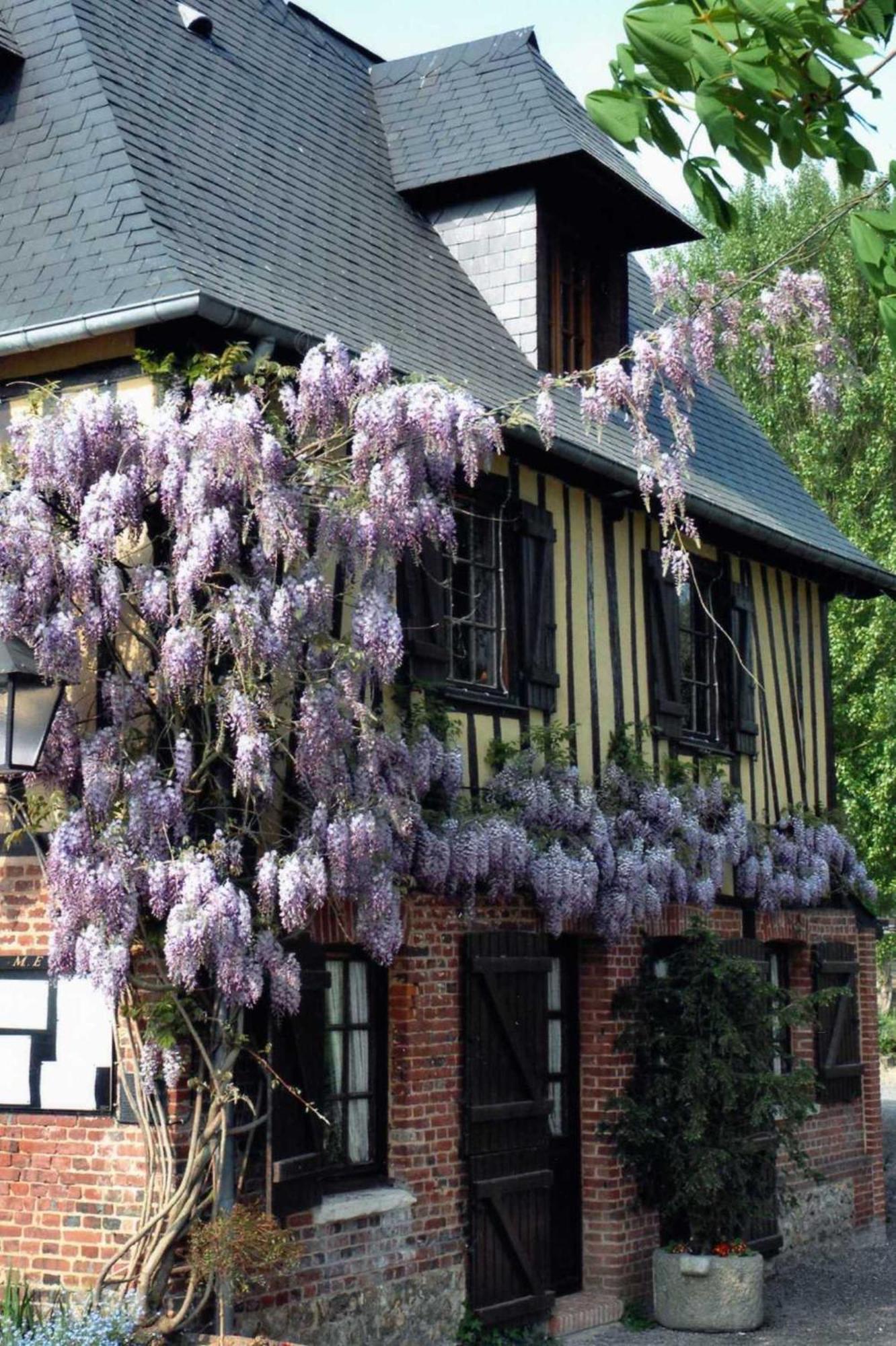 Saint-Clair-sur-les-Monts Auberge Du Val Au Cesne מראה חיצוני תמונה